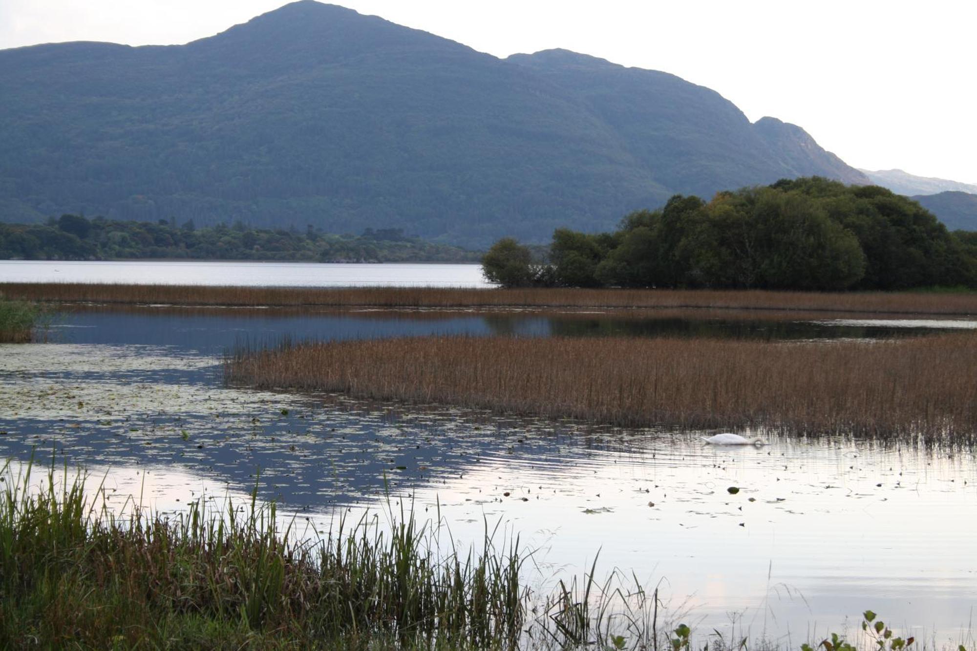 Innisfallen Holiday Homes By Trident Holiday Homes Killarney Ruang foto